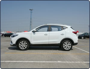MGZS